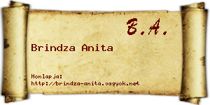 Brindza Anita névjegykártya